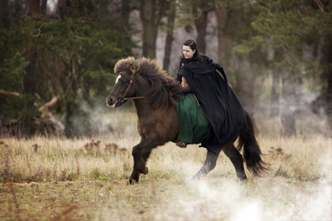 Reitbild im Galopp, Berlin